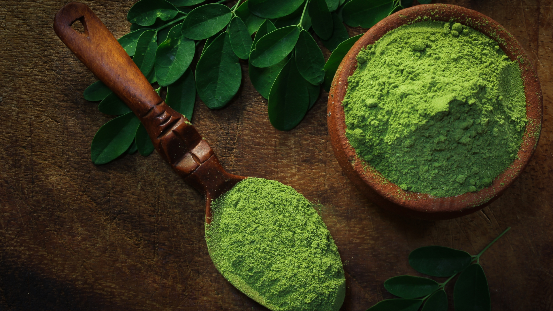 Un moringa poudre riche en bienfaits