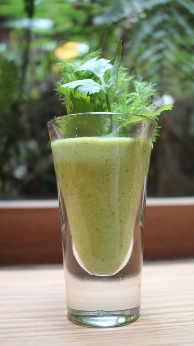The moringa bio